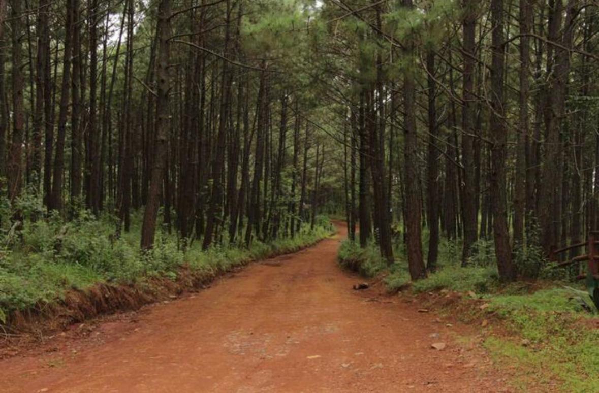 Los Venados Mazamitla Dış mekan fotoğraf
